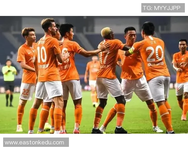 武汉排球队灵活性引发热议球迷与专家观点交锋探讨战术调整的重要性